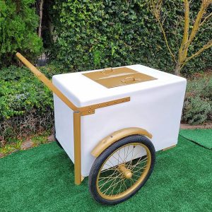 Standard size popsicle push cart with gold trims