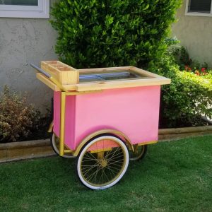 Popsicle pink push cart with gold trim