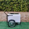 Standard size popsicle cart with black trims