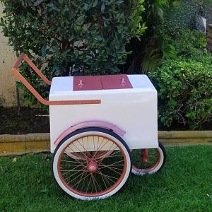 Mini size popsicle cart with rose gold trim